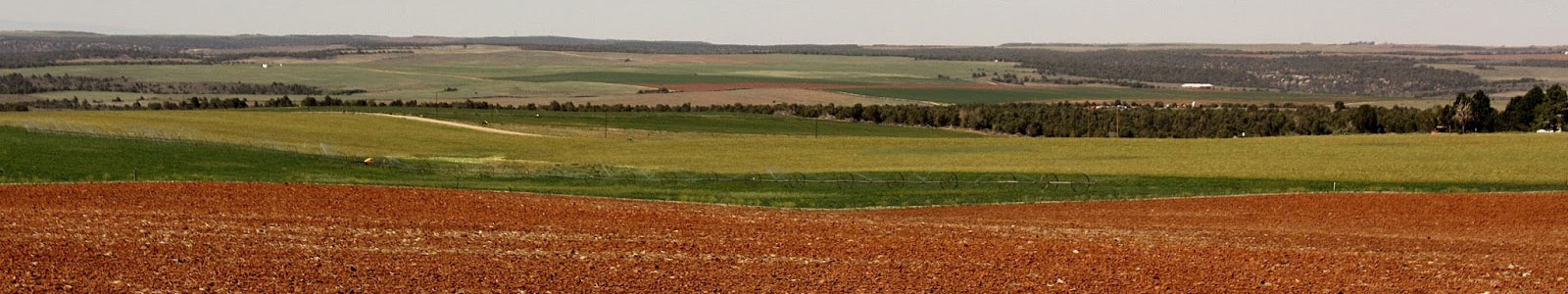 Southwest Seed Open Land