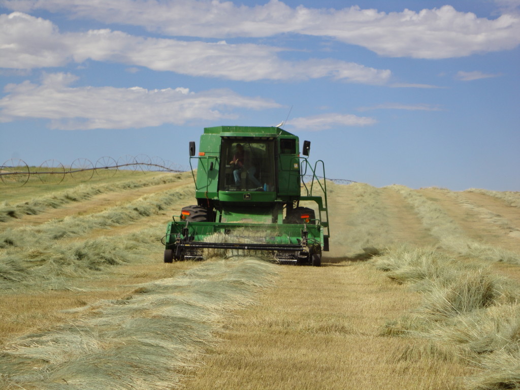 Baling Hay