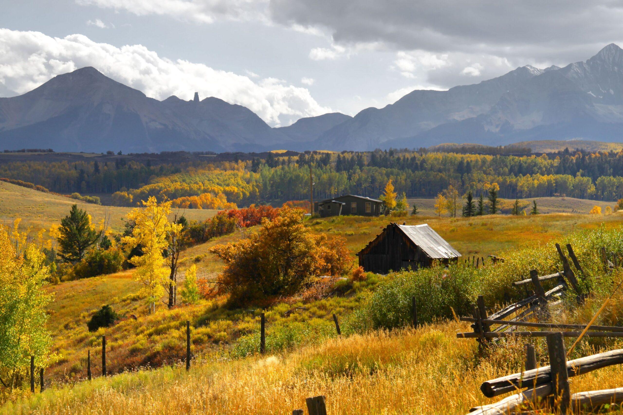 High Elevation Native Mix