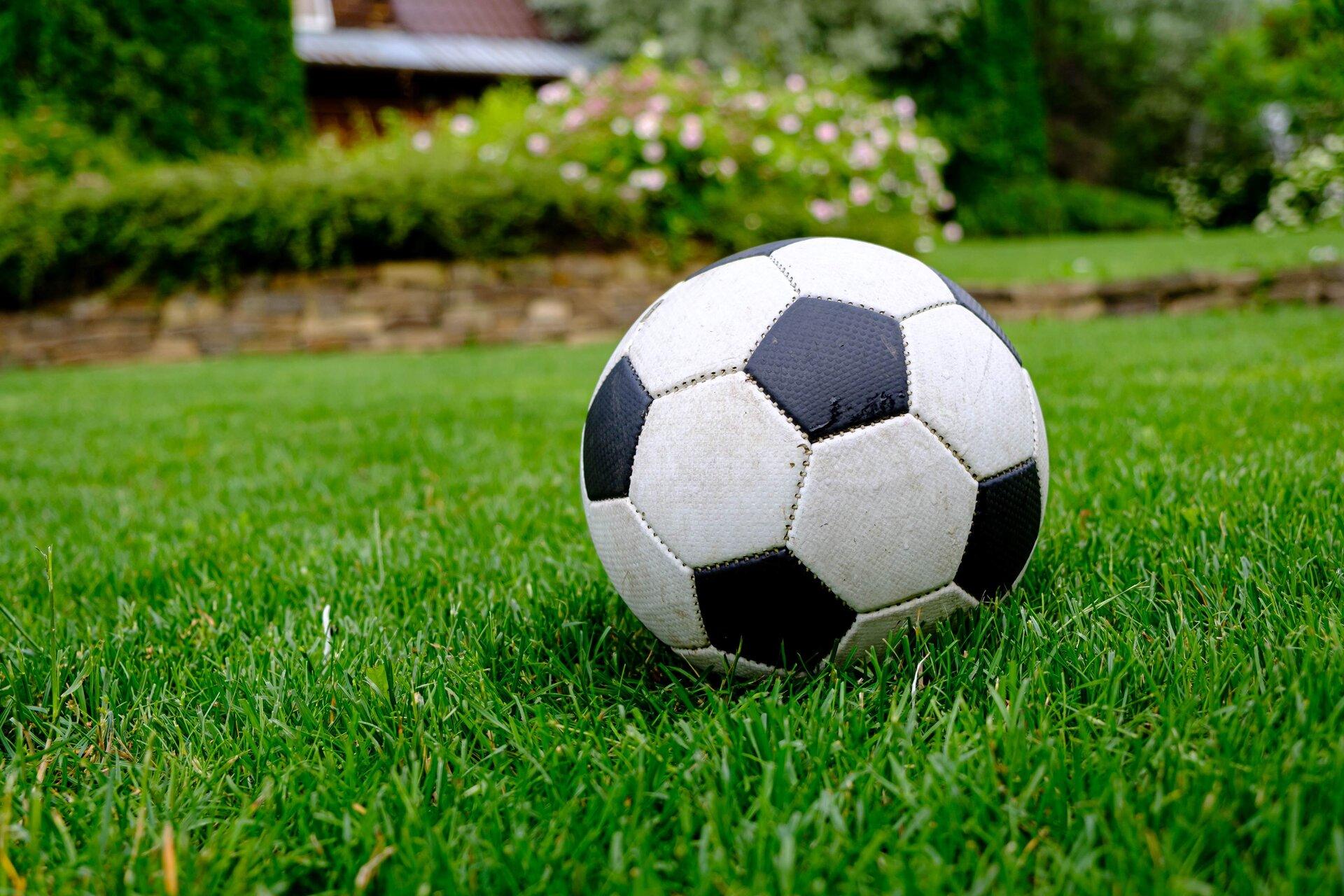 Soccer Mix - Irrigated Turf