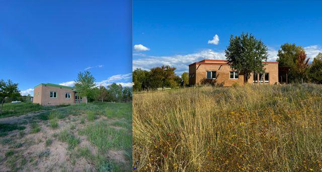 Betty's Borders Wildflower Mix - Image 3
