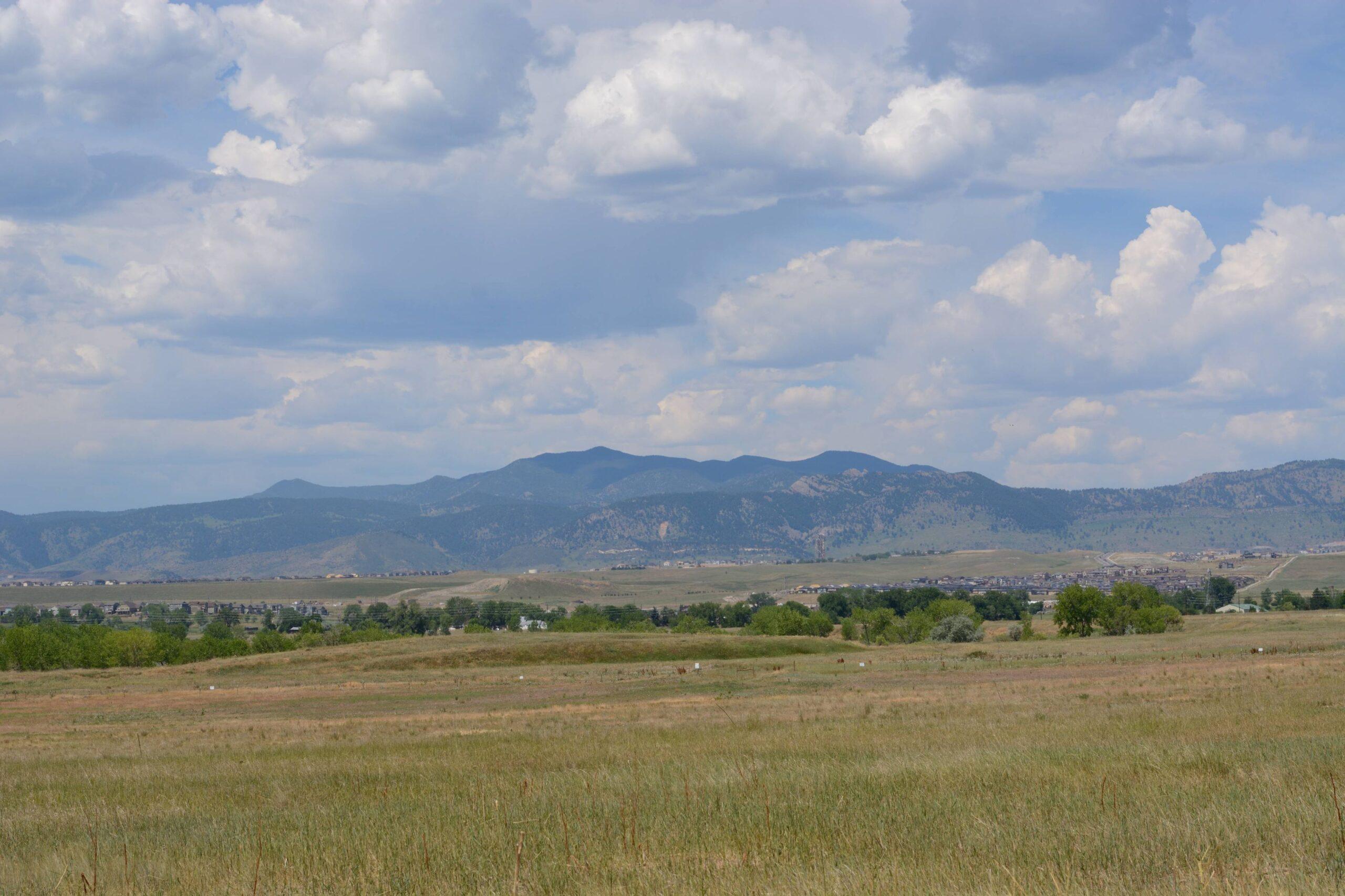 Foothills Native Mix - Image 2