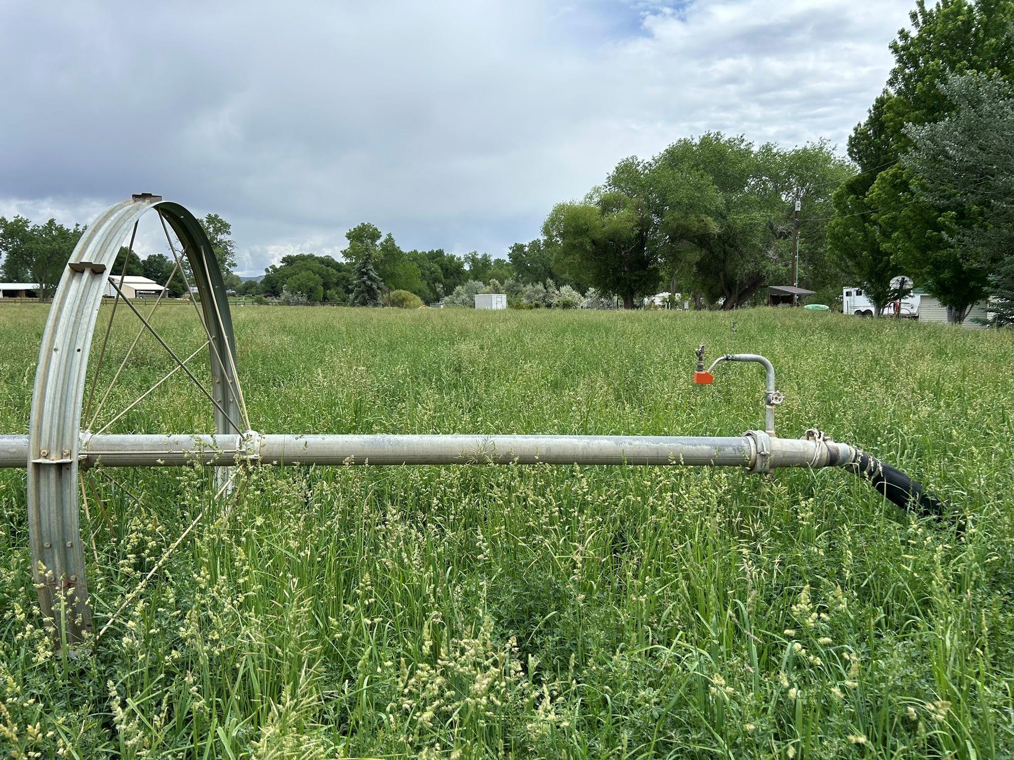 West Slope Pasture Mix